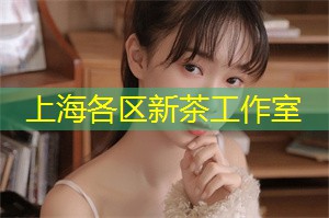 爱<strong>上海龙凤419</strong>：普通人可以参加的选秀节目
