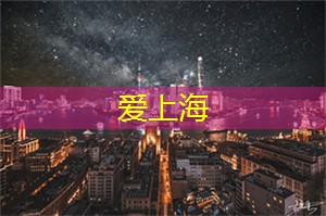 爱上海：上海作为一个繁忙的大都市