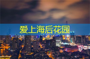<strong>上海新茶工作室</strong>：上海茶庄与旅游：不可错过的文化体验