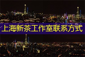 <strong>上海娱乐网</strong>：传统美食与茶点的搭配，上海茶庄的探索之旅